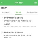 타이거워시 이미지