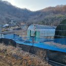 안영농장 이미지