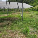 형제 태양광발전소 이미지