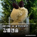 강릉앤솔 이미지