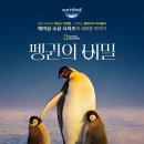 리더스크린 | 용산 CGV 스크린엑스 상영관에서 펭귄의비밀...보고왔어용! 용스엑/용산 ScreenX 좌석 후기 및 명당 꿀팁!