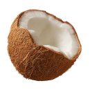 코코넛야자 열매(coconut fruit) 이미지