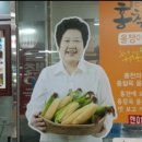 대운올챙이 이미지