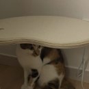 포스코노래연습장 이미지