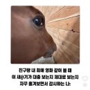 폭싹 울었수다