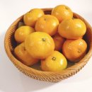 만수휘트니스 이미지