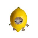 aespa(에스파) - LEMONADE 이미지