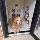 올리스 24(마산) 이미지