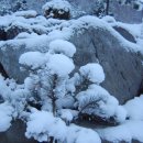 용늪마을 이미지