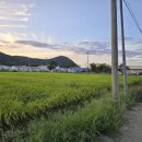 영천우체국 이미지