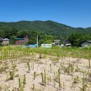 공주공인중개사사무소 이미지