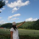 평창이야기 이미지