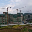 흥양천길 네이버블로그