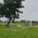 낙동강관리본부 화명생태공원 1 이미지