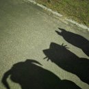 경욱농장 이미지