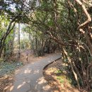 해안둘레길 화장실 이미지