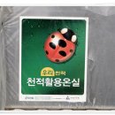 효자딸기