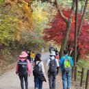 남한산성 성곽 길 걷기 (2) 이미지