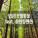 노일리 섶다리 앞 간이화장실 | 강원도 영월 보보스캇 캠핑장(feat.펜션 하얀집)