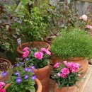 용인농장 이미지