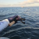 131 | 아드미라 베이트릴 핸들 튜닝 타켄 GT131 A7 스페셜 컬러 내돈내산 교체 후기