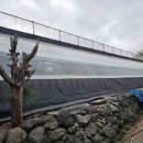 무봉농장 이미지