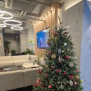 트리메디칼(주) 이미지