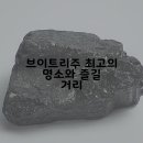 브이트리