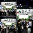 임실앤치즈피자 이미지