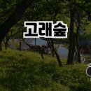 해마루농원 | 자연 속에서의 힐링 캠핑, 고래숲