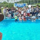 해맞이목장 이미지