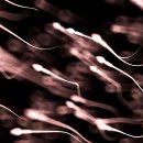 Move in sp 이미지