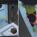 가위든여자 이미지