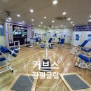 30분 순환운동 관평동 헬스장 커브스 관평클럽 후기