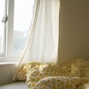 아서의집 이미지