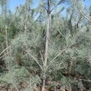 인근농장 이미지