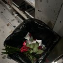 장미꽃사이로 이미지