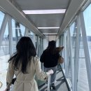 제주도 장인약과 /제주 장인더 웨이팅 포장구매 맛 솔직후기