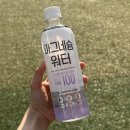 제로음료 무설탕 에너지음료수 추천 빙그레 마그네슘워터 후기
