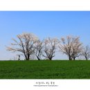 성원목장 이미지