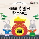 머슬원핏 이미지