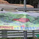 미리내 행정사사무소 이미지