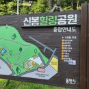 신봉힐링공원 이미지