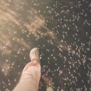 예지사료 | 7. 사랑은 살아남아서