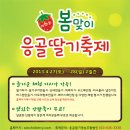응골축제 이미지