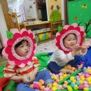 꽃뿐이네 이미지