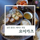 요이카츠 이미지