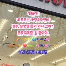나의 우주 티스토리