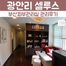 셀루스(광안점) 이미지