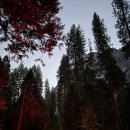 국립종자원삼거리 앞 | [미국 국립공원] 요세미티 숙소 커리(하프돔)빌리지, 언히티드 텐트(Unheated Tent) 아고다 예약 &amp; 후기